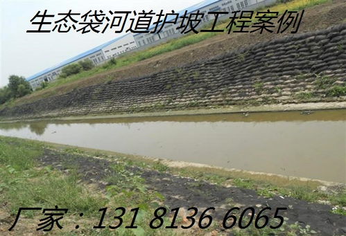 廠家直銷生態(tài)袋 構(gòu)筑綠色屏障，護(hù)航高速路護(hù)坡工程