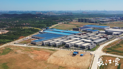 武漢市蔡甸區重大項目集中開工 投資71.8億元，聚焦生態環境材料銷售新機遇