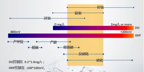 博匯特潘建通 環保新材料與生態藥劑雙翼齊飛，biodopp微氧工藝引領產業變革